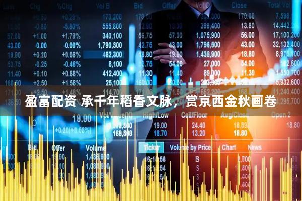 盈富配资 承千年稻香文脉，赏京西金秋画卷