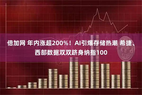 倍加网 年内涨超200%！AI引爆存储热潮 希捷、西部数据双双跻身纳指100