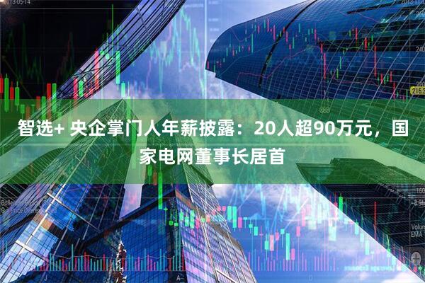 智选+ 央企掌门人年薪披露：20人超90万元，国家电网董事长居首