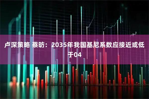 卢深策略 蔡昉：2035年我国基尼系数应接近或低于04